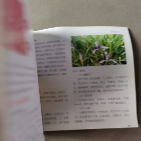 家庭养花/健康生活系列