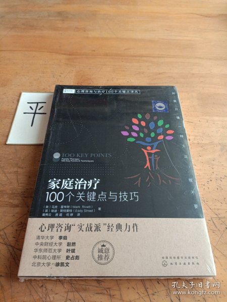 家庭治疗：100个关键点与技巧/心理咨询与治疗100个关键点译丛