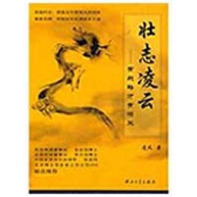 壯志凌云/有戰(zhàn)略才有將來凌風(fēng)9787306033642四川人民出版社