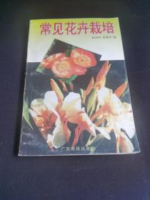 常见花卉栽培