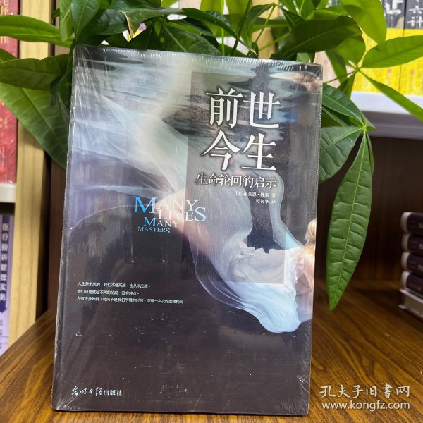 前世今生:生命轮回的启示