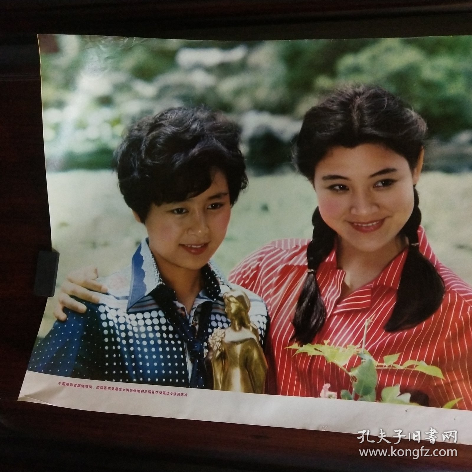 1982年年画张瑜与陈冲合影