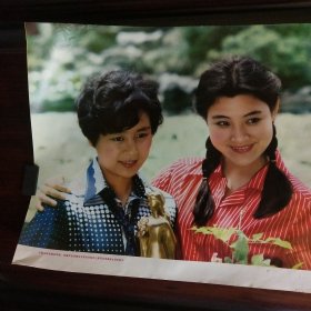 1982年年画张瑜与陈冲合影