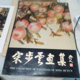 宋步云画集，宋步云艺术大展，两册和售78元