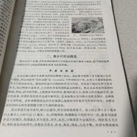 中国经济昆虫志第五册鞘翅目 瓢虫科