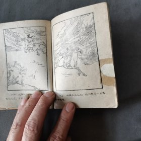 1960年8月 郑若泉繪图 凤仙与龙爪 一册