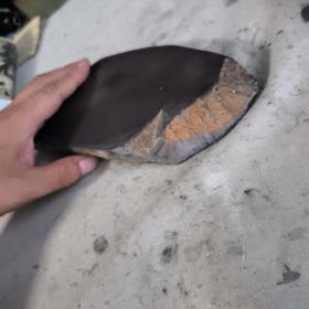 有冻岩端砚(冻很大,有金钱活眼。看着像恐龙的头,又像条鱼。反面亦像鱼)