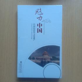 魅力中国 中国的世界文化遗产DVD10碟装