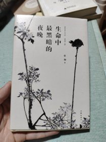 生命中最黑暗的夜晚（精典名家小说文库）