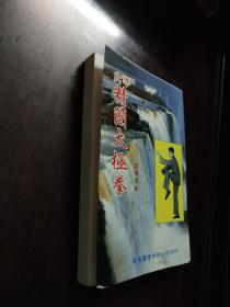 李氏精简太极拳.