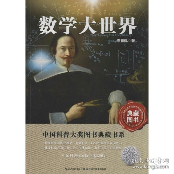 中国科普大奖图书典藏书系：数学大世界（典藏图书）