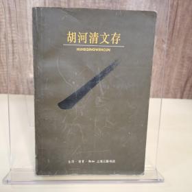 胡河清文存