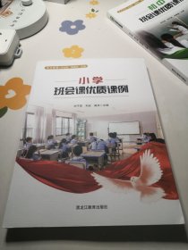 小学班会课优质课例