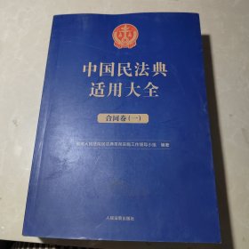 中国民法典适用大全（合同卷）