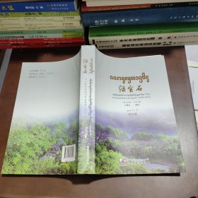 绿宝石 西双版纳报副刊作品选萃1979-2015 傣文卷