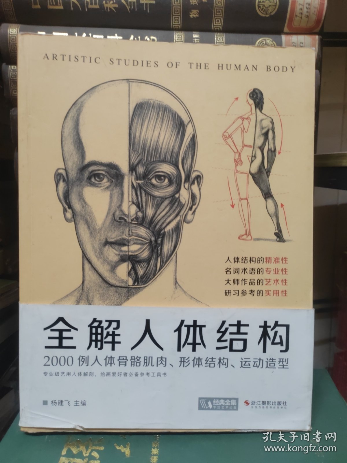 全解人体结构