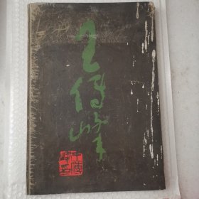 王传峰画集