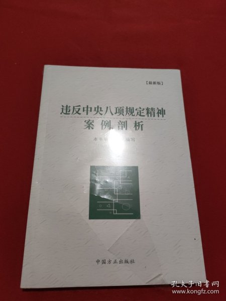 违反中央八项规定精神案例剖析（最新版）