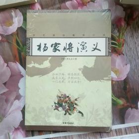 历代通俗畅销小说：杨家将演义