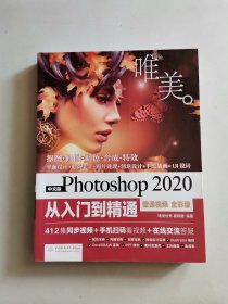 中文版Photoshop2020从入门到精通（微课视频全彩版）