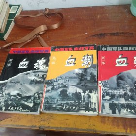 中国军队血战写真 第一二三部 馆藏