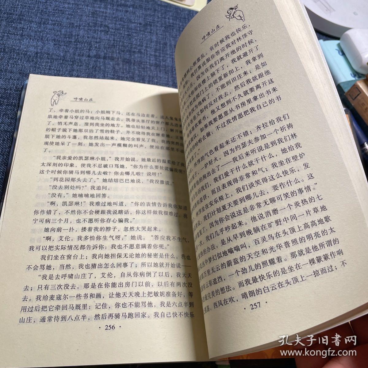 世界文学经典名著译林：呼啸山庄，精装，有个小标签余品佳