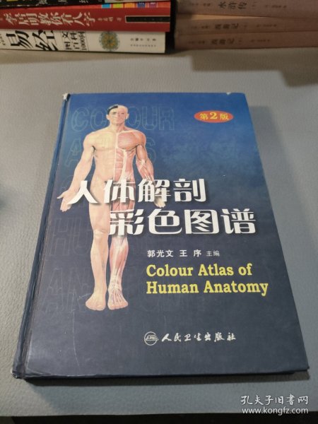 人体解剖彩色图谱