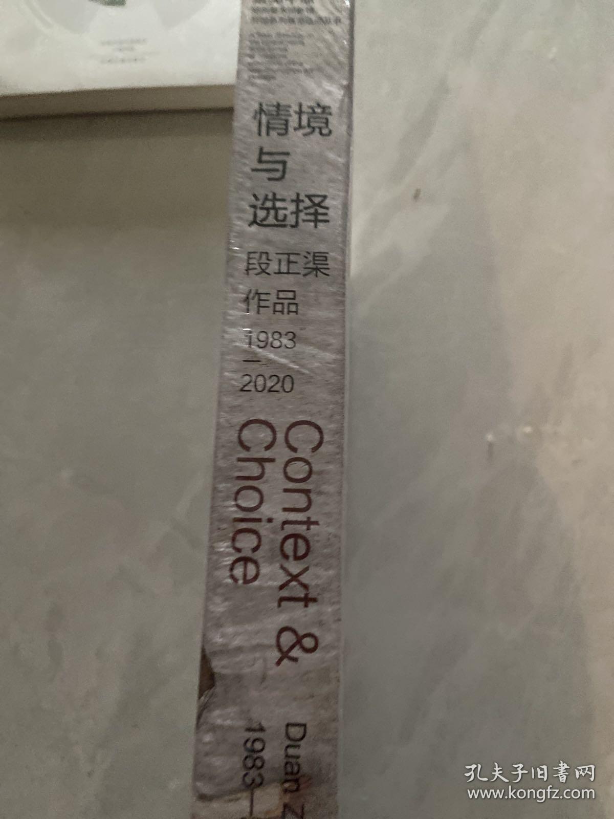 情境与选择 段正渠作品1983-2020