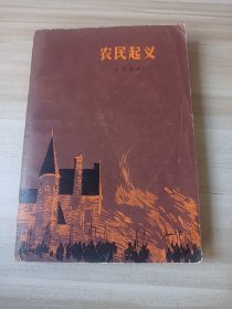 农民起义 十六世纪历史小说