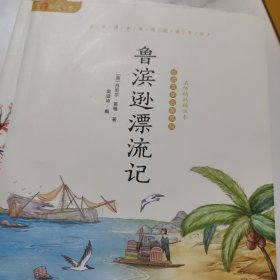 鲁滨逊漂流记