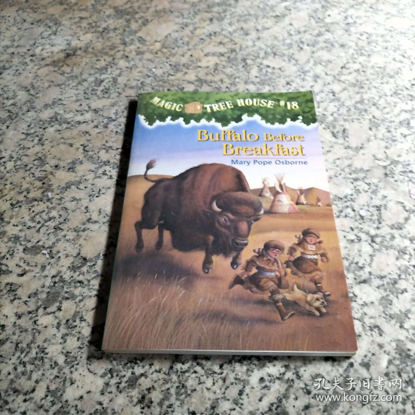 Buffalo before Breakfast (Magic Tree House #18)神奇树屋系列18：早餐前