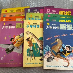 少年科学画报1988年11册合售（缺第六册）