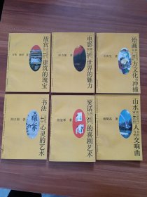 北京大学艺术教育与美学研究丛书。山水审美:人与自然的交响曲 6本合售