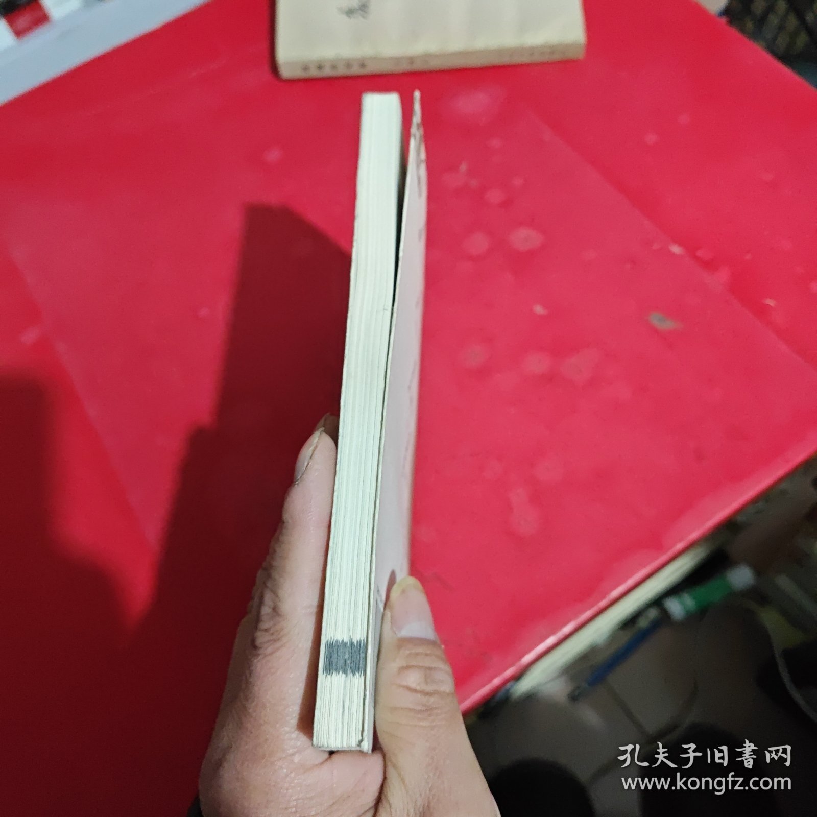 美丑缘