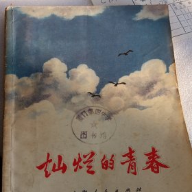 灿烂的青春