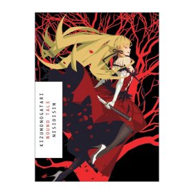 Kizumonogatari 傷物語(yǔ) 日本同名動(dòng)漫輕小說(shuō) 西尾維新NISIOISIN
