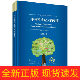 王中林精选论文摘要集