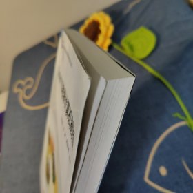 地理信息系统理论与应用丛书：Surfer 10地学计算机制图