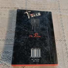 深牢大狱：海岩最新力作