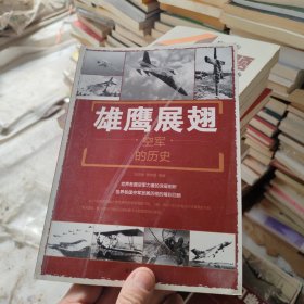 雄鹰展翅：空军的历史