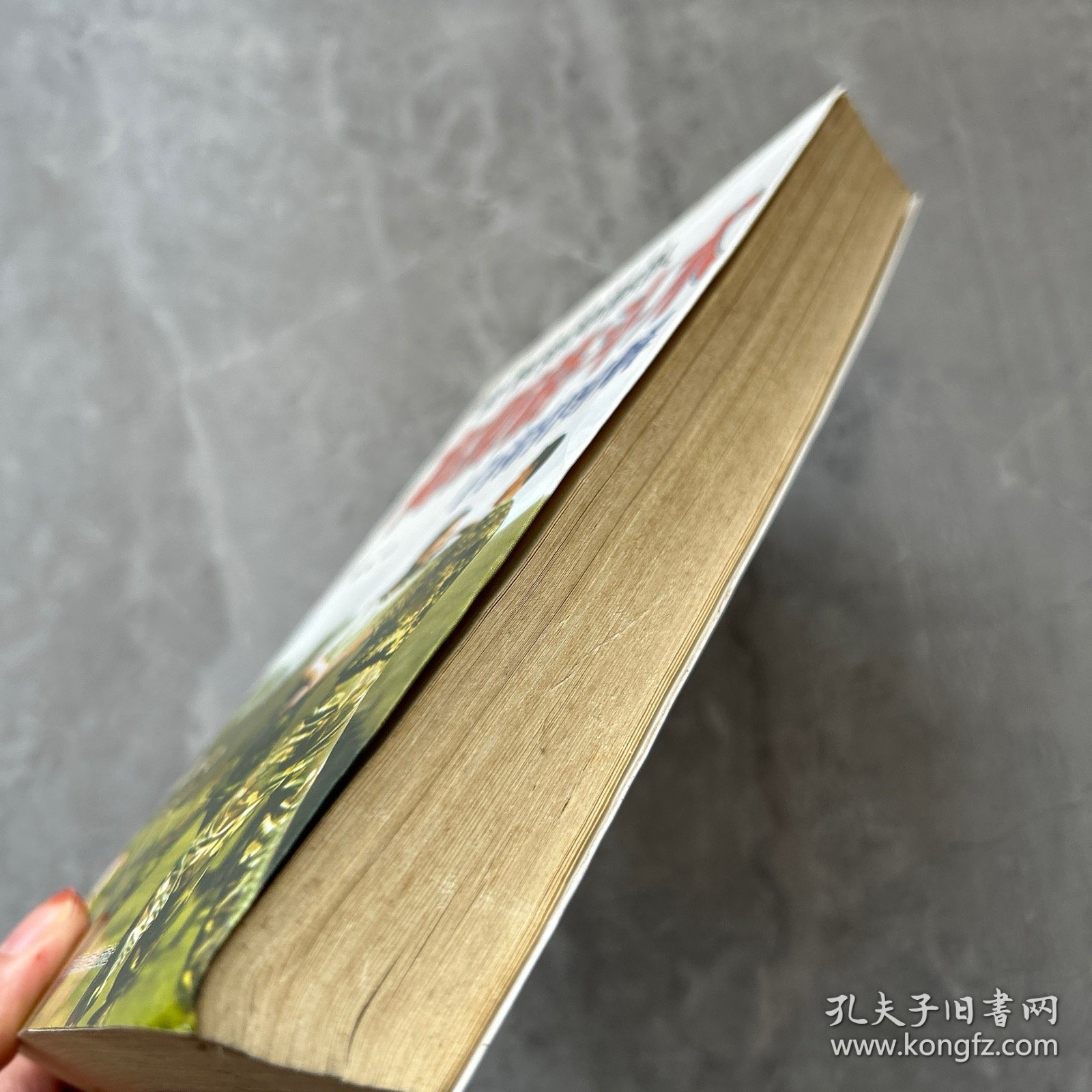 世界特种部队高级格斗术与功力训练