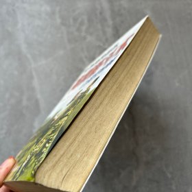 世界特种部队高级格斗术与功力训练