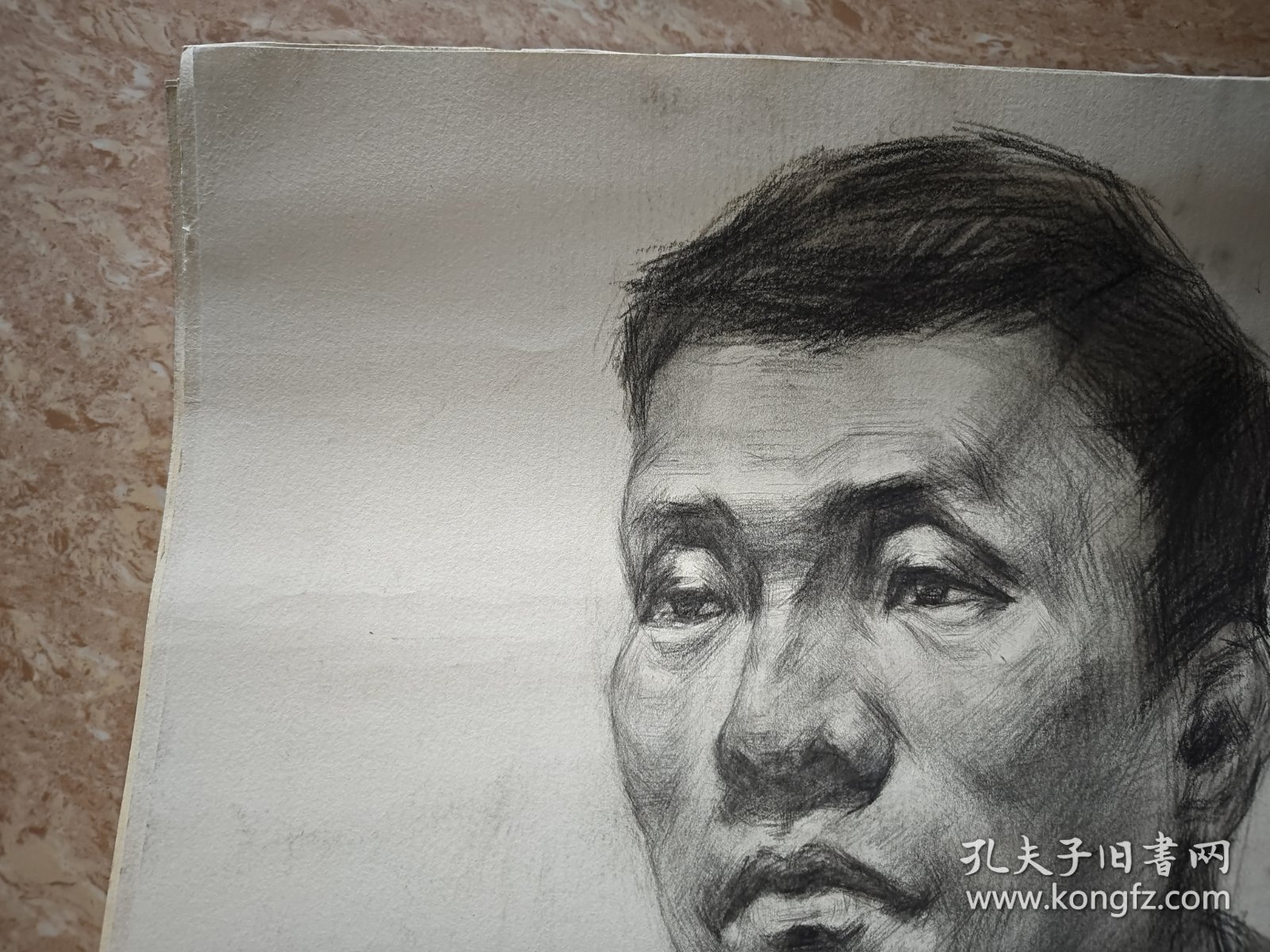 铅笔素描画稿(53*38)3