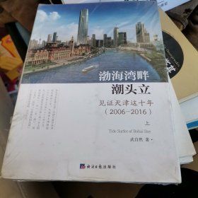 H1 渤海湾畔潮头立-见证天津这十年（2006-2016）上下全二册