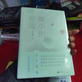 微小的命运（单向街文学奖年度青年作家李静睿·全新精装版，讲述爱情、命运、人生的选择）