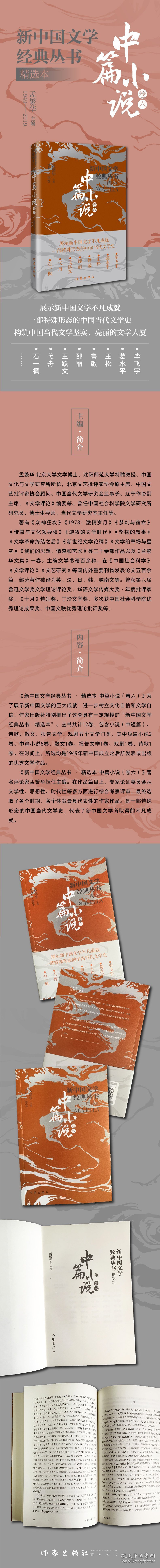 正版速发新中国文学经典丛书·精选本（中篇小说卷六）毕飞宇、葛水平、王松、鲁敏、邵丽、王跃文、弋舟、石一枫9787521221817