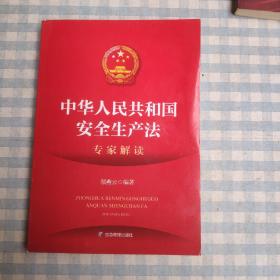 中华人民共和国安全生产法专家解读