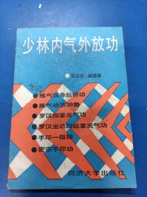 少林内气外放功 060462