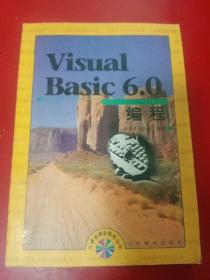 Visual Basic 6.0编程