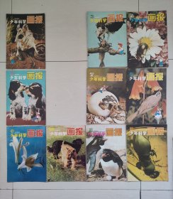 老杂志：《少年科学画报》1984年第1期至第12期，全年共十二期现缺第二期第六期共十本合售，1984.1-12缺1984.2和1984.6两期，详见图片及描述